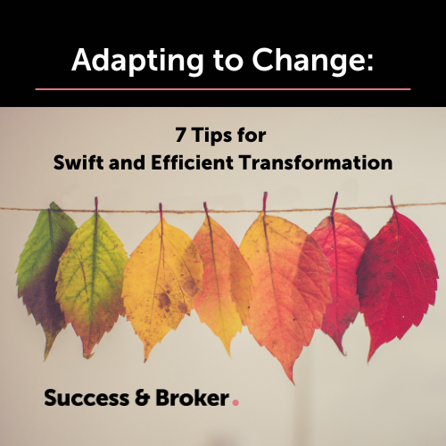 Blog Article: Adapting to Change